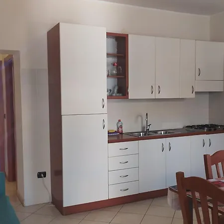 Domus * Cipollina